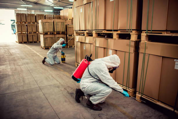 Best Pest Control for Homes  in Chambersburg, PA