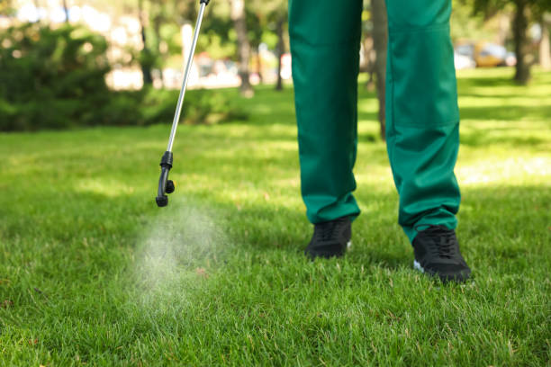 Best Wasp Removal Services  in Chambersburg, PA