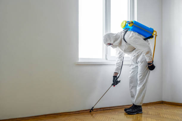 Pest Control for Restaurants in Chambersburg, PA