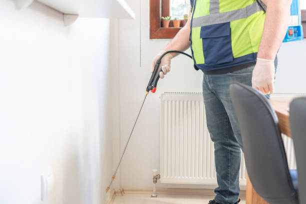 Wasp Removal Services in Chambersburg, PA