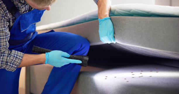 Best Termite Control Services  in Chambersburg, PA