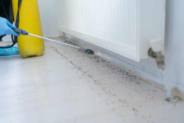 Best Pest Removal Services  in Chambersburg, PA