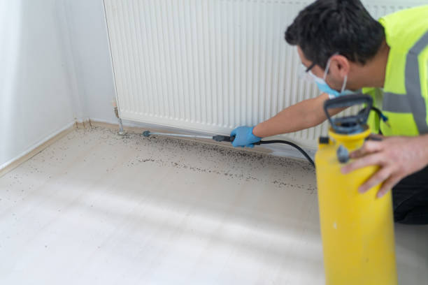 Best Best Pest Control Companies  in Chambersburg, PA
